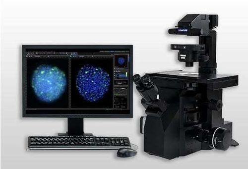 Verwaltungs- und Analysesystem / Reporting - cellSens - Evident - Olympus Scientific Solutions - KI-gestützt / Video / Visualisierung