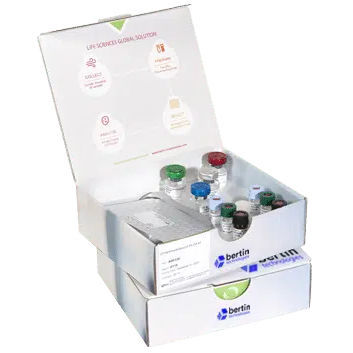 Testkit für Forschungszwecke - Bertin Technologies - klinische Chemie / Biomarker / enzymatisch