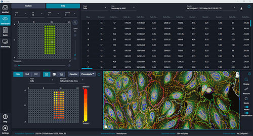 Analysesoftware - IN Carta®  - Molecular Devices - Bildanalyse / Sensor / für maschinelles Lernen