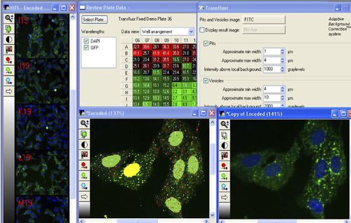 Planungssoftware - MetaXpress®  - Molecular Devices - Steuerung / Beschaffung / Analyse