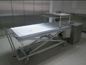 Transfer-Leichentransportwagen - MA-1260 - MEDIS Medical Technology - manuell / Edelstahl / höhenverstellbar