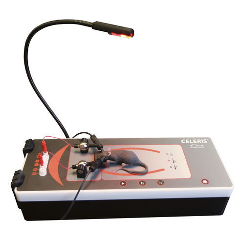 Elektroretinograph mit Monitoring der evozierten Potentiale - Celeris - Diagnosys