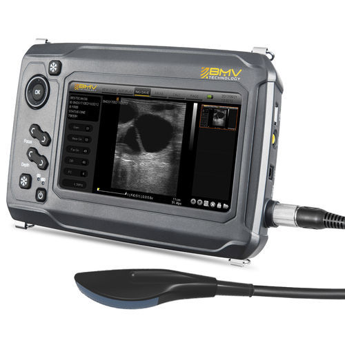 Tragbares Tierärztliches Ultraschallsystem - BestScan® S6 Convex-Array Vet - BMV - Multifunktion / für Kleintiere / für Pferde