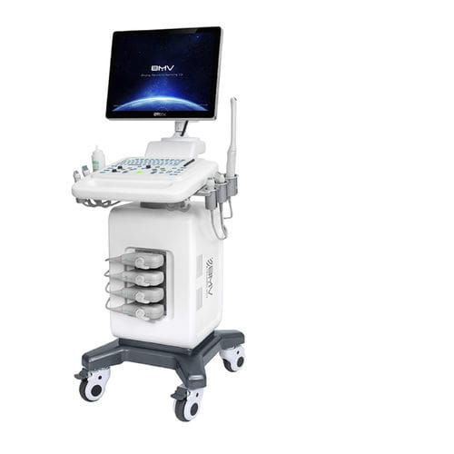 Plattformmontiertes Ultraschallgerät - BPU90C - BMV - für Ultraschalldiagnostik in der Notfallmedizin / Schwarz-Weiß / Farbdoppler