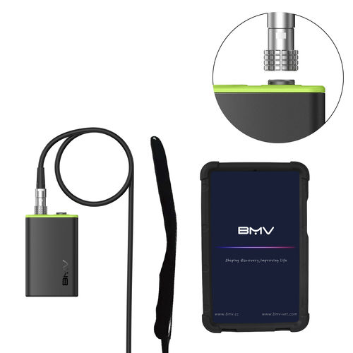 Tierärztliches Ultraschallsystem / Handgerät - BestScan® S7 Endocavitary Vet - BMV - Multifunktion / für Kleintiere / für Großtiere