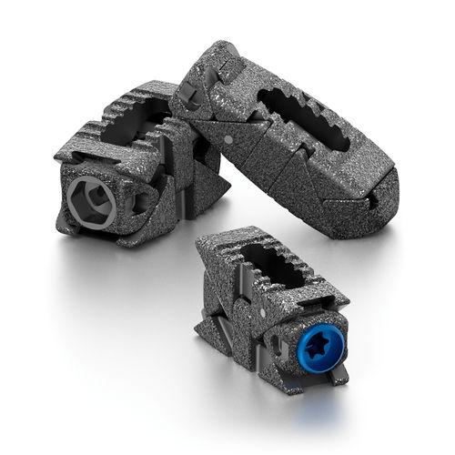 LWS-Zwischenwirbelimplantat - PROLIFT® - Life Spine - dorsaler Zugang / transforaminaler Zugang / Titan