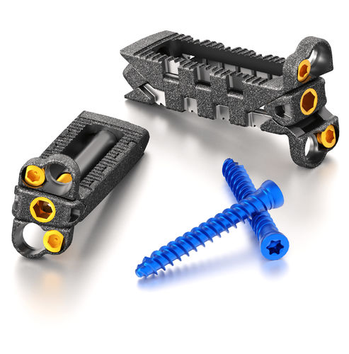 LWS-Zwischenwirbelimplantat - PROLIFT®  - Life Spine - lateraler Zugang / erweiterbar