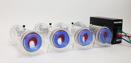 Plethysmograph für Tiere - Buxco® Head-out - DSI - für die Tierforschung