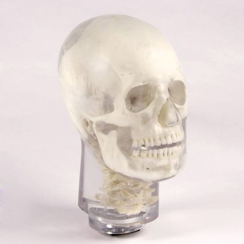 Testphantom für Röntgenzwecke - 12702 - QUART X-Ray QA Solutions - Kopf