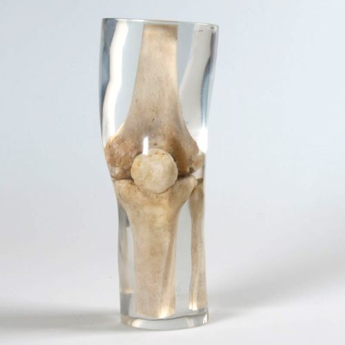 Testphantom für Röntgenzwecke - 12714 - QUART X-Ray QA Solutions - für Bein / Knie / Oberschenkelknochen