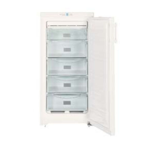Laborgefrierschrank - G100V - FDM - ENVIRONMENT MAKERS - vertikal / 1 Tür / luftgekühlt