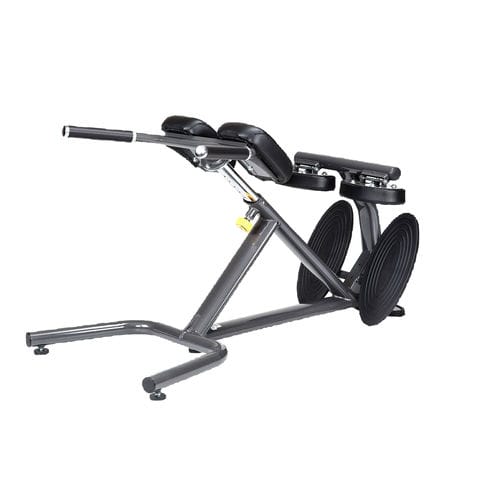 Lenden-Kraftbank - A993  - SportsArt Fitness