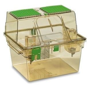Belüfteter Tierkäfig für Tierversuche - GR1800 - Tecniplast - für Nagetiere / modular / zwei Brücken
