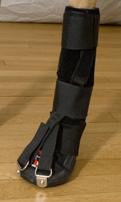 Veterinär-Schiene / für Pfote - Forelimb Dorsi-Flex Assist - Thera-Paw - für Hunde