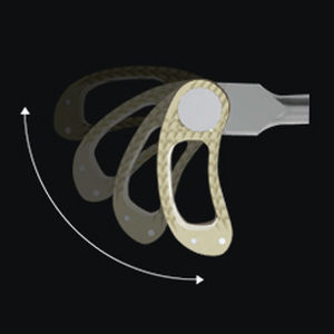 LWS-Zwischenwirbelimplantat - TALON® TLIF - BM Korea - transforaminaler Zugang / aus PEEK
