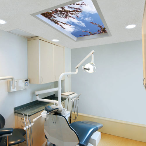LED-Panel / für Krankenhaus - Sky View™ - Sky Factory - deckenmontiert / Grafikanimationen