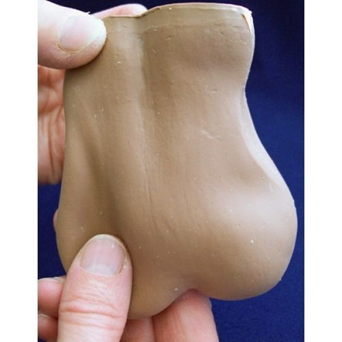 Anatomisches Modell / Hoden - ZKL-106-A - Educational + Scientific Products Ltd - für die Ausbildung / Kunststoff / flexibel