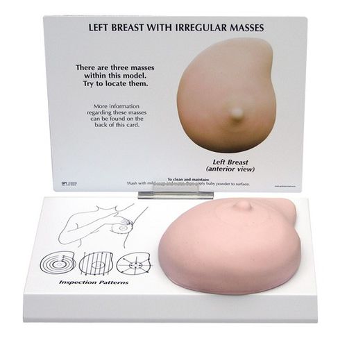 Anatomisches Modell / Brust - 3401 - GPI Anatomicals - für die Ausbildung / für Krebserkrankungen