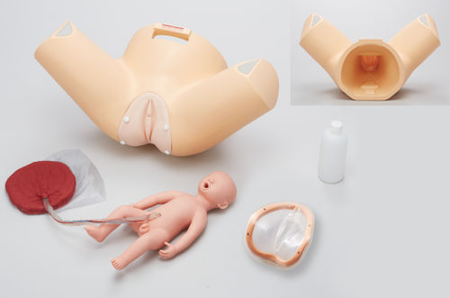 Patientensimulator für Entbindungen - M184 - Sakamoto Model Corporation - Geburtshilfe/Gynäkologie / Schwangerschaft / weiblich