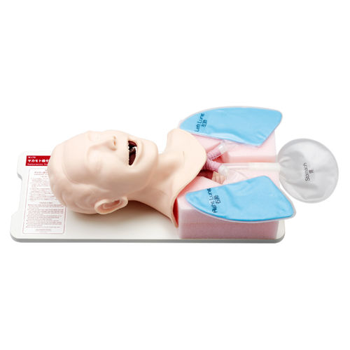 Trainingssimulator - M175 - Sakamoto Model Corporation - für Intubation / zum Ansaugen der Luftkanäle / Notfall