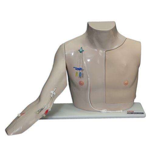 Simulator für Gefäßzugang -  Chester Chest™ - VATA, Inc. - für intravenöse Katheterisierung / Infusion / Ausbildung