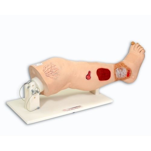 Anatomisches Modell / Bein - Vinnie™ - VATA, Inc. - Ausbildung / für die Ausbildung / für Dekubitus-Behandlung