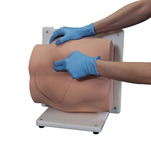 Simulator für Punktionen - BONNIE™ - VATA, Inc. - für Palpationen / für Biopsie / für Allgemeinpflege