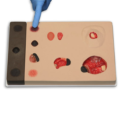 Anatomisches Modell / Knochen - 980 - VATA, Inc. - Malleolus / Haut / für Dekubitus-Behandlung