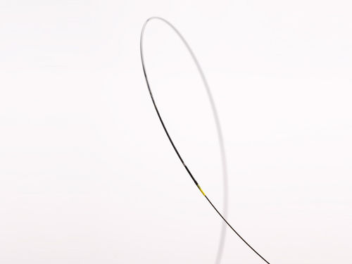 PTCA-Katheter - Arriva™ PTCA - InSitu Technologies - Koronar / Ballon