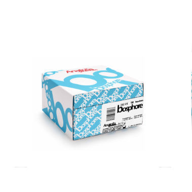 Tuberkulose-Testkit - Bosphore® - Anatolia Tani ve Biyoteknoloji Urunleri Sanayi ve Ticaret A.S.  - Mycobacterium tuberculosis / Mycobacterium bovis / Mycobacterium smegmatis