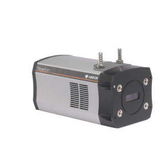 Mikroskop-Kamera - Newton  - Andor Technology PLC  - medizinisch / Überwachung / digital