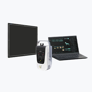 Digitales Veterinär-Röntgensystem - Beatle-02P (Vet） - Browiner - tragbar