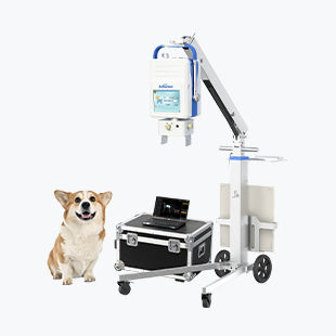 Digitales Veterinär-Röntgensystem - Beatle-06P1(Vet-S) - Browiner - tragbar