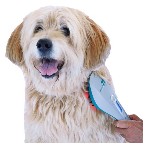 Veterinärlaser für tierärztliche Photostimulation - POWERTWIN 21 - MKW Lasersystem - Dioden / Handgerät
