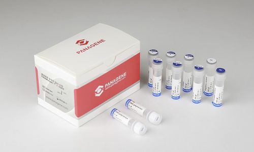 Reaktives Milieu - PANAMutyper™ R - Panagene Inc. - für Krebserkrankungen / flüssig / EGFR-Mutationen