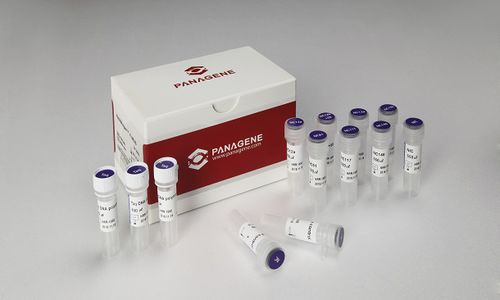 Reagenz / als Lösung - PNAR-2001 - Panagene Inc. - für Krebserkrankungen / flüssig / NRAS-Mutationen