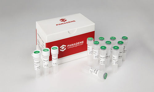 Reagenz / als Lösung - PNAR-1001 - Panagene Inc. - für Krebserkrankungen / flüssig / KRAS-Mutationen