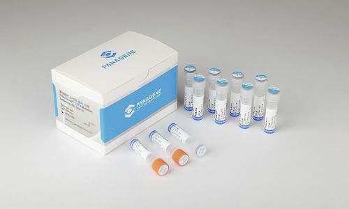 Lungenkrebs-Testkit - PNACIamp™ - Panagene Inc. - Onkologie / EGFR-Mutationen / Gewebe