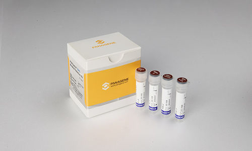 Testkit für Krebserkrankungen - PNACIamp™ - Panagene Inc. - Onkologie / für RT-PCR