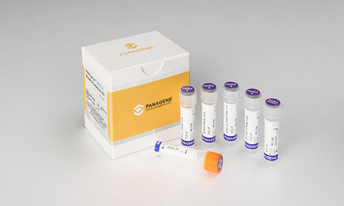 Testkit für Krebserkrankungen - PNAC-4001 - Panagene Inc. - Onkologie / Gewebe / für RT-PCR