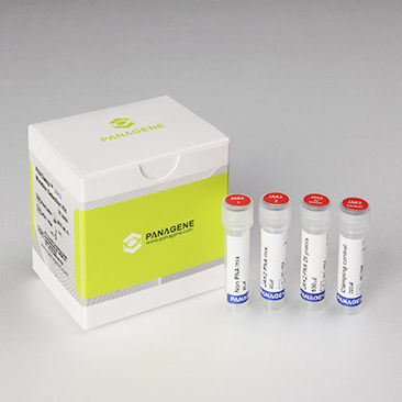 Testkit für Krebserkrankungen - PNACIamp™ - Panagene Inc. - Onkologie / JAK2-Mutationen / Gewebe