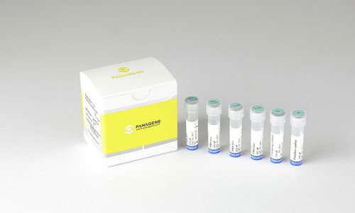 Testkit für Krebserkrankungen - PNACIamp™ - Panagene Inc. - Onkologie / FFPE-Gewebe / für RT-PCR