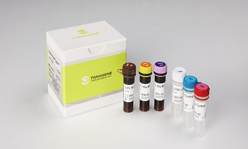 Gebärmutterhalskrebs-Testkit - PANA RealTyper™ - Panagene Inc. - zur Genotypisierung / HPV / für Kliniken