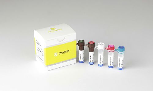 Testkit für STD - PANA RealTyper™ - Panagene Inc. - Urin / Vaginalsekret