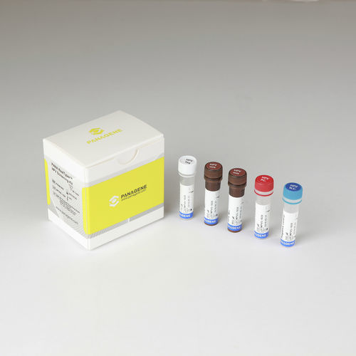 Gebärmutterhalskrebs-Testkit - PANA RealTyper™ - Panagene Inc. - Onkologie / HPV / für RT-PCR