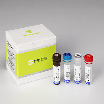 Testkit für Infektionskrankheiten - PANA RealTyper™ - Panagene Inc. - Enterobakterien