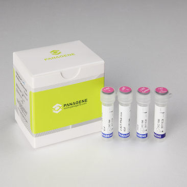 Testkit für Krebserkrankungen - PNAC-8001 - Panagene Inc. - Onkologie / Gewebe / für RT-PCR