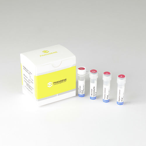 Schnelltest für Krebserkrankungen - PNACIamp™  - Panagene Inc. - Onkologie / für Zellen / Gewebe