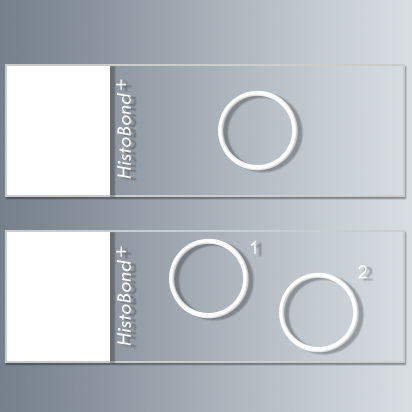 Selbstklebender Objektträger für Mikroskop - HistoBond®+ - Paul Marienfeld
