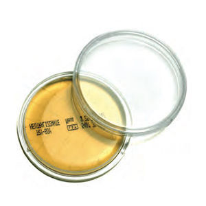 Agargel Reagenz - B194536 - Vacutest Kima S.r.l. - für Bakterienkultur